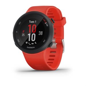 Garmin Forerunner 45 Lava Red